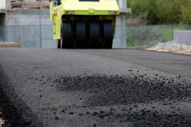 Best Professional Driveway Pavers  in San Lorenzo, CA